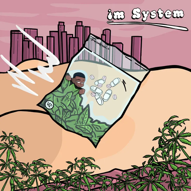 Im System