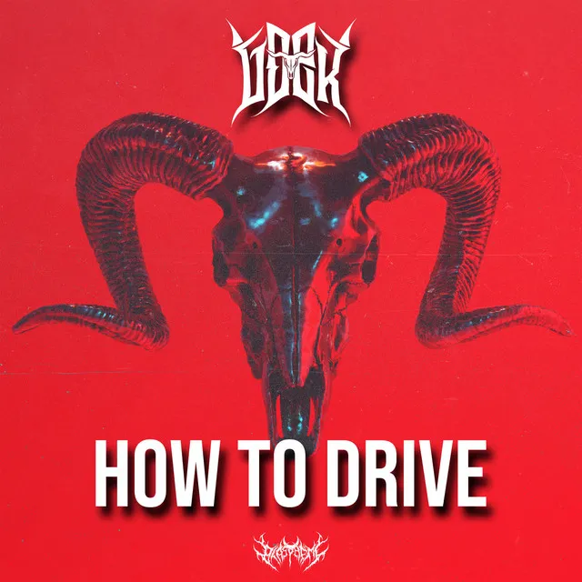 How To Drive