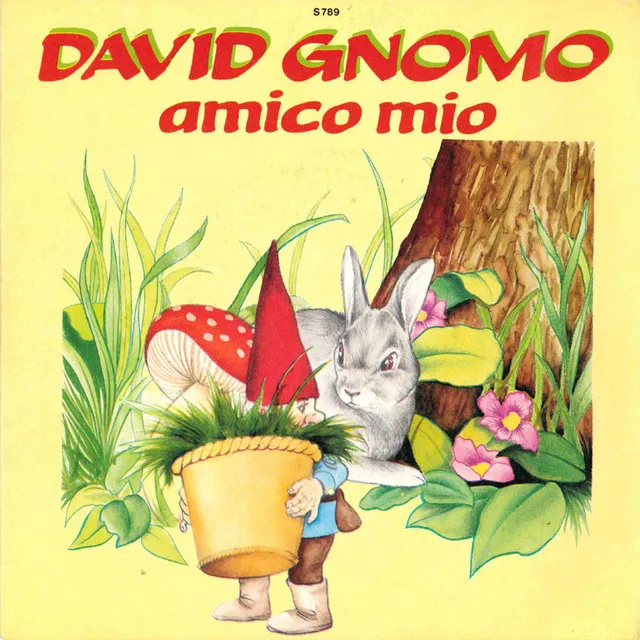 David Gnomo amico mio