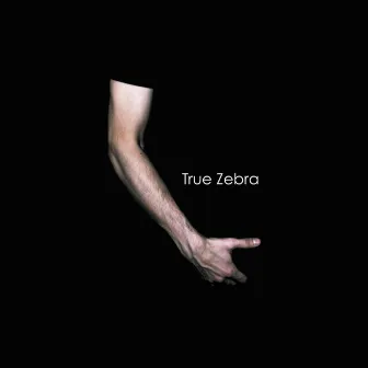 Debut by True Zebra