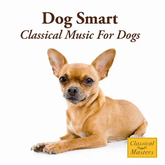 Dog Smart - Classical Music For Dogs by St. Martin's Orchestra