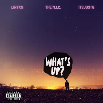 What's Up by Lintxn