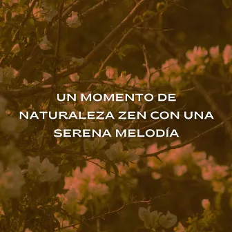 Un Momento De Naturaleza Zen Con Una Serena Melodía by Colección de sonidos relajantes de la naturaleza