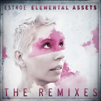 Elemental Assets The Remixes by Estroe