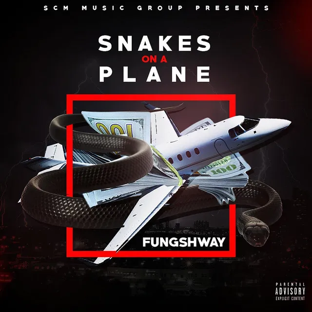 Snakes on a Plane