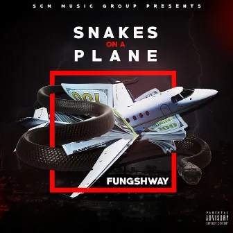 Snakes on a Plane by Fungshway