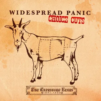 Choice Cuts: The Capricorn Years 1991-1999 by Widespread Panic