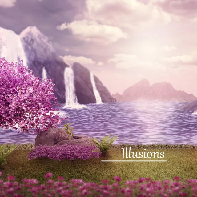 Illusions