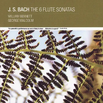 J. S Bach: The 6 Flute Sonatas by William Bennett