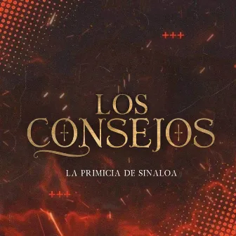 Los Consejos (En Vivo) by Primicia de Sinaloa