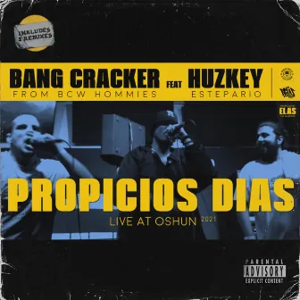 Propicios Días (Radio Edit) by Huzkey