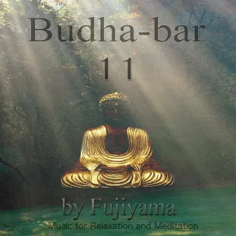 Budha - Bar 11, Music For Relaxation And Meditation by Fujiyama