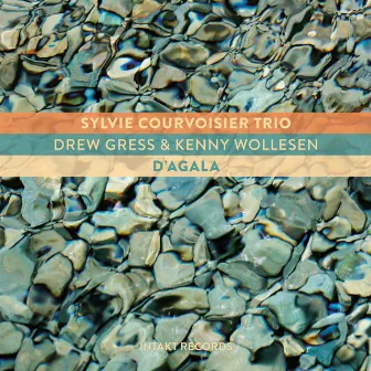 D'Agala by Sylvie Courvoisier Trio