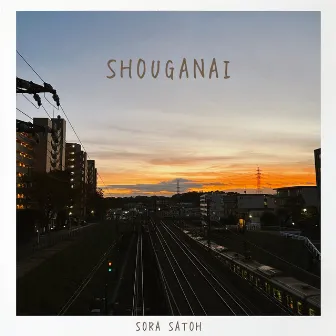 Shouganai by Sora Satoh