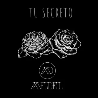 Tu Secreto by Medel