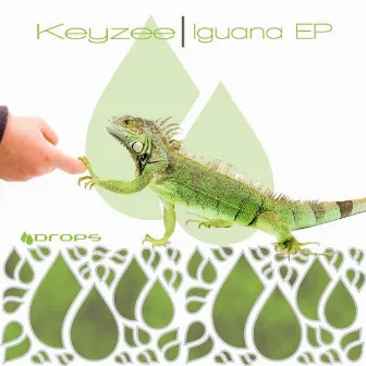 Iguana by Keyzee