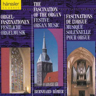 The Fascination of the Organ by Bernhard Römer