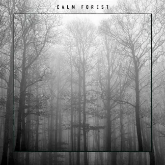 Calm Forest – Beautiful Nature Sounds for Relaxation, Peaceful Place, Soothing Noise by Natural Sounds Music Academy