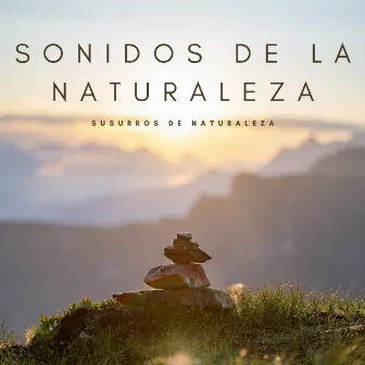 Sonidos De La Naturaleza: Susurros De Naturaleza by Pajaritos Cantando