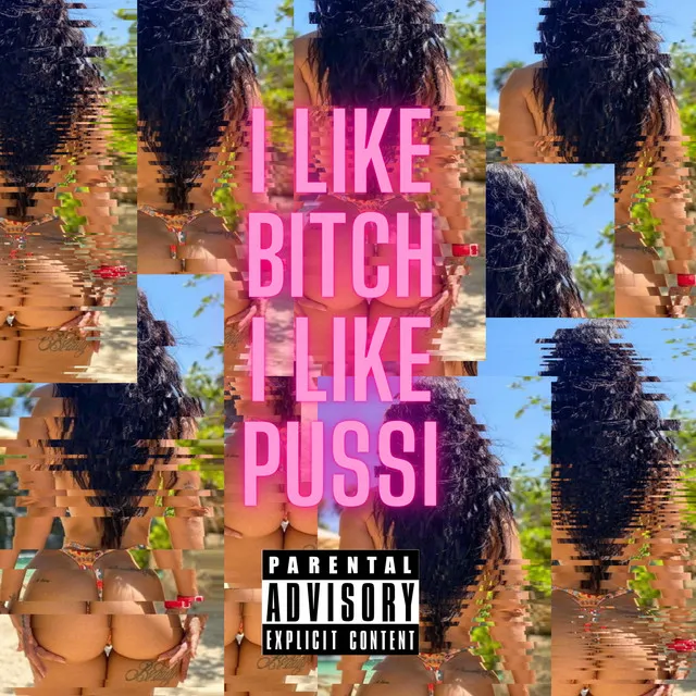 I Like Bitch, I Like Pussy