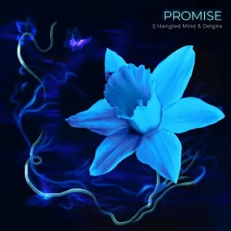 Promise by Entangled Mind