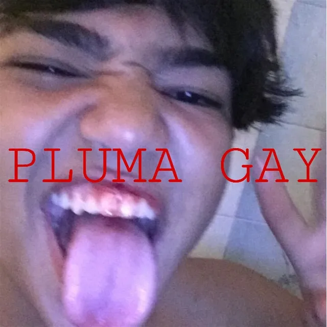 Pluma Gay