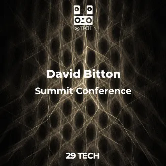 Summit Conference by David Bitton