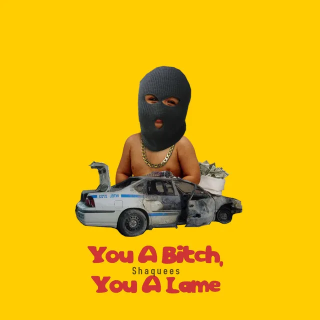 You a Bitch, You a Lame