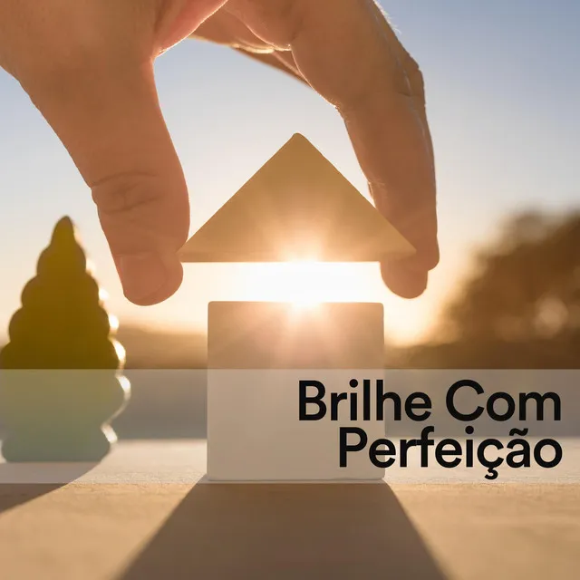 Brilhe Com Perfeição