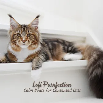 Lofi Purrfection: Calm Beats for Contented Cats by Sleepy Cats