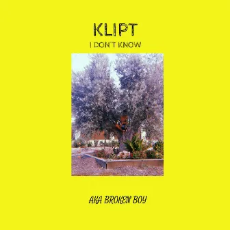 I Don't Know by KLIPT