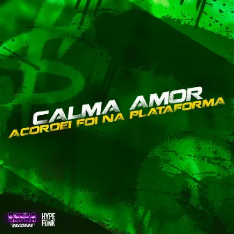 Calma Amor Acordei Foi na Plataforma by MC KAUÊ JDLZ