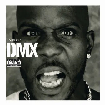 The Best Of DMX by DMX