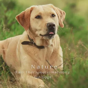 Nature: Rain Therapeutic Harmony for Dogs by Sound of Nature