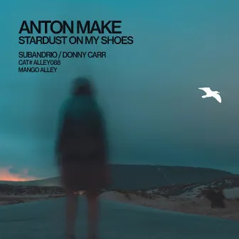 Stardust On My Shoes by Anton Make