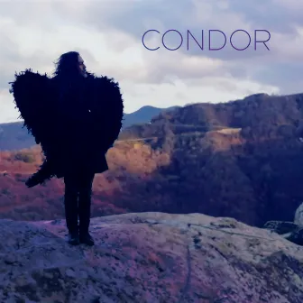 Condor by Roberto Angelini