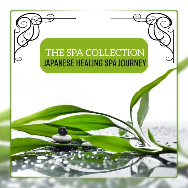 Japanese Healing Spa Journey