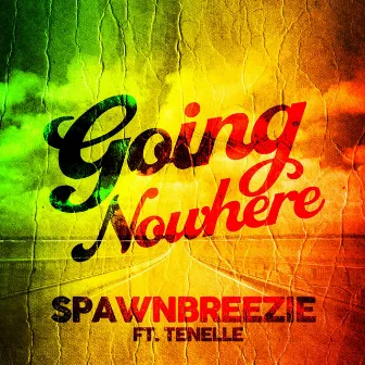 Going Nowhere (feat. Tenelle) by Spawnbreezie