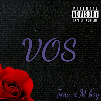 Vos by jesu