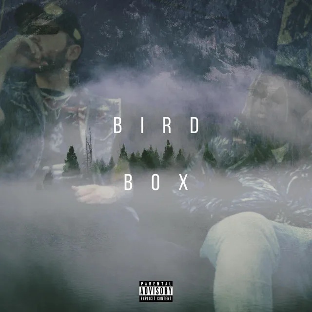 Birdbox