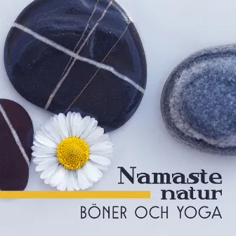 Namaste natur (Böner och yoga, Meditation bakgrundsmusik, Lugnande ljud för andlighet, Balans och harmoni) by Unknown Artist