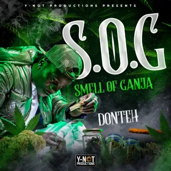 SMELL OF GANJA by Donteh