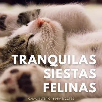 Tranquilas Siestas Felinas: Calma Interior Para Bigotes by mañanas francesas