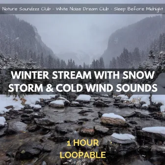 Winter Stream with Snow Storm & Cold Wind Sounds: 1 Hour (Loopable) by White Noize Dream Club