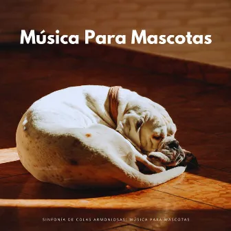 Sinfonía De Colas Armoniosas: Música Para Mascotas by 