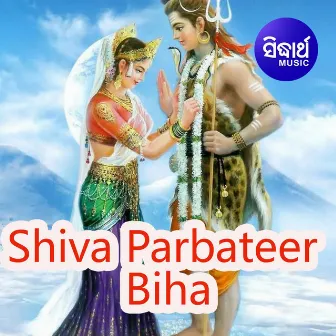 Shiva Parbateer Biha by Unknown Artist