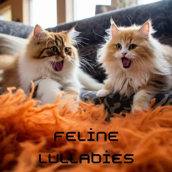 Feline Lullabies: Soothing Music Therapy for Cats for Peaceful Sleep by Cat Hour