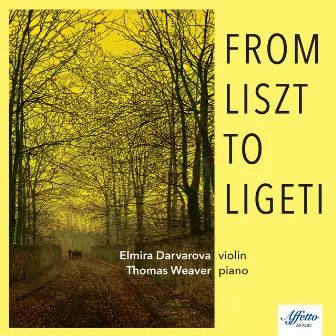 From Liszt to Ligeti by Thomas Weaver