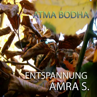 Atma Bodha by Amra S.