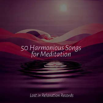 50 Harmonious Songs for Meditation by Easy Sleep Music